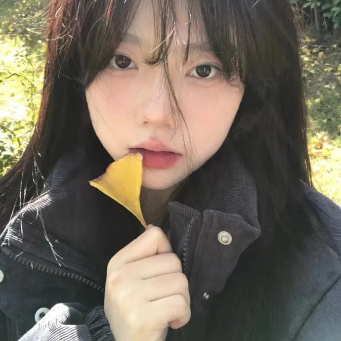 复仇战士